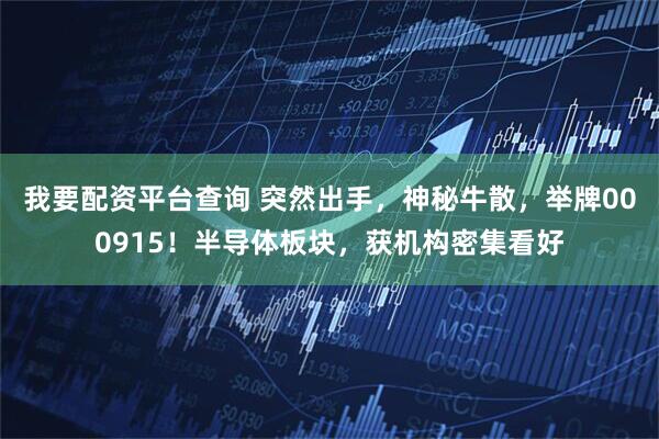 我要配资平台查询 突然出手，神秘牛散，举牌000915！半导体板块，获机构密集看好